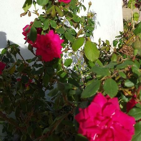 Giardini Di Lanzo Villa Martina Franca Buitenkant foto
