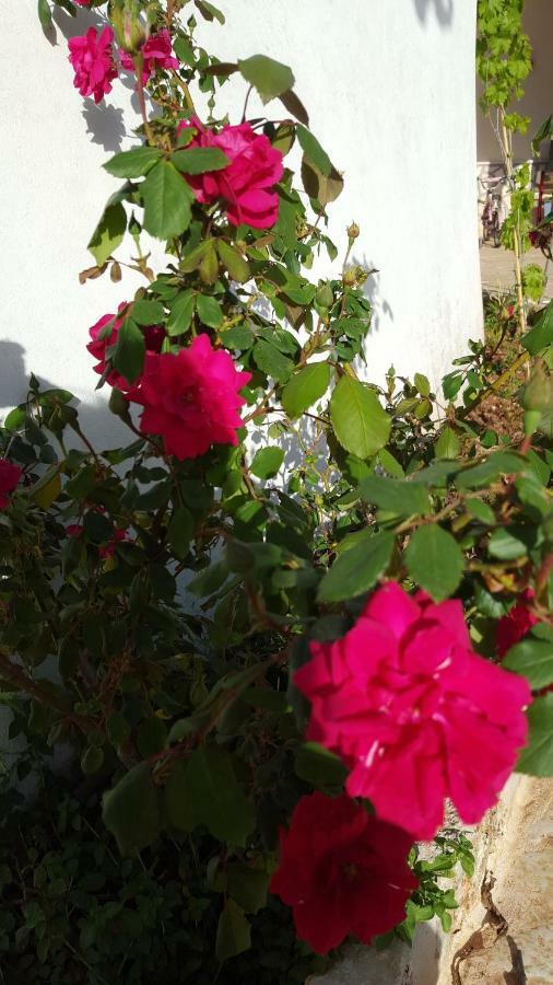 Giardini Di Lanzo Villa Martina Franca Buitenkant foto